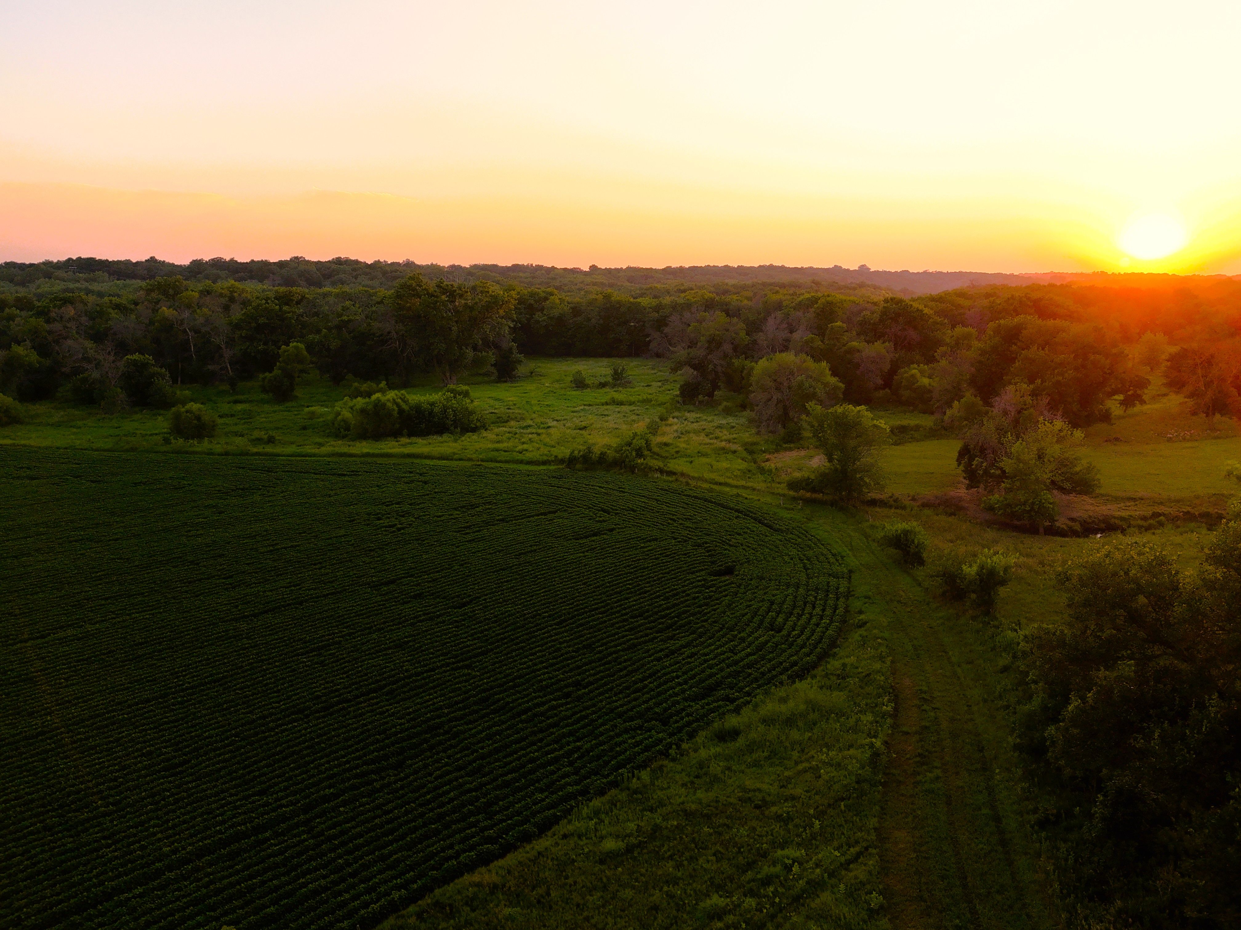 Listing Photo: Mid Air 17 Sunset NW corner